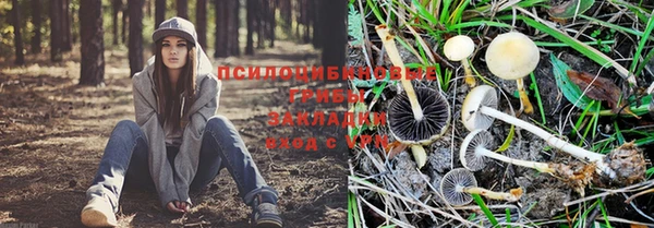 гашиш Михайловск