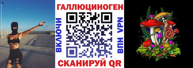 KRAKEN   Никольское  Псилоцибиновые грибы мухоморы 